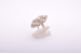 dsc_0591-detail.gif